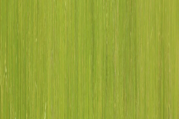 Padrão Linhas Verdes Fundo Abstrato Para Design Uso Seu Trabalho — Fotografia de Stock