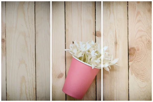 Fleur Kasalong Fleur Millingtonia Hortensis Fleurit Dans Une Tasse Papier — Photo