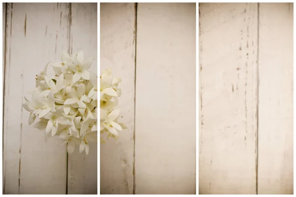 Kasalong Λουλούδι Millingtonia Hortensis Λουλούδι Ανθίζει Χάρτινο Κύπελλο Ξύλινο Πάτωμα — Φωτογραφία Αρχείου