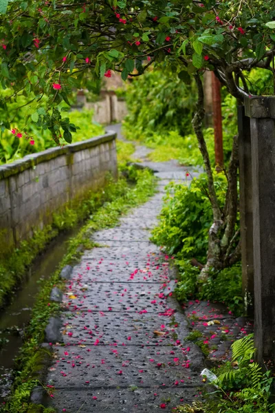 Stock image Petals of flowers, lying on the stone pavement