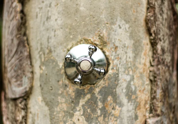 Водопроводный кран в стволе дерева — стоковое фото