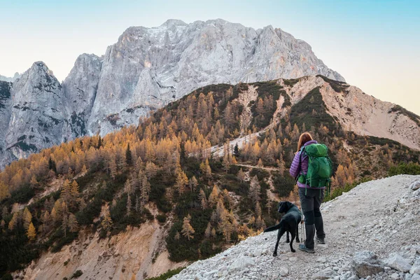 Mujer y perro en las montañas —  Fotos de Stock