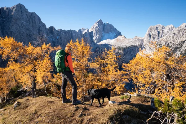 Mujer y perro en las montañas —  Fotos de Stock