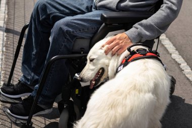 Özürlü ve hizmet köpeği olan bir adam.