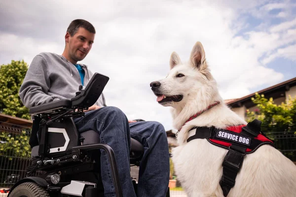 Человек с инвалидностью и служебной собакой — стоковое фото