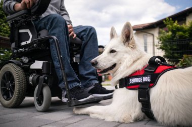 Özürlü ve hizmet köpeği olan bir adam.