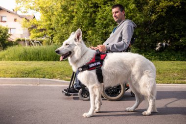 Özürlü ve hizmet köpeği olan bir adam.