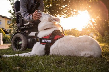 Özürlü ve hizmet köpeği olan bir adam.