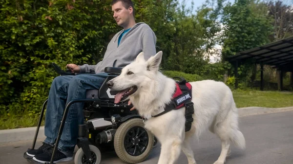 Özürlü ve hizmet köpeği olan bir adam.