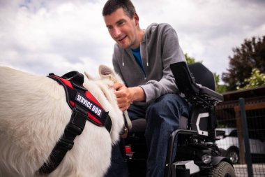 Özürlü ve hizmet köpeği olan bir adam.