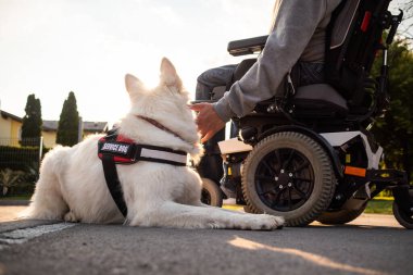 Özürlü ve hizmet köpeği olan bir adam.