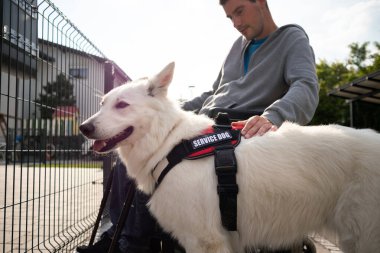 Özürlü ve hizmet köpeği olan bir adam.