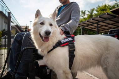 Özürlü ve hizmet köpeği olan bir adam.