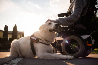 Özürlü ve hizmet köpeği olan bir adam.