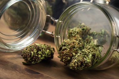 Masada CBD tomurcukları