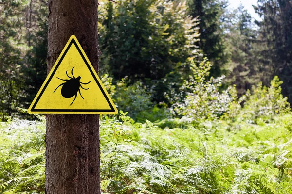 Tick insect warning sign in forest. — Stockfoto