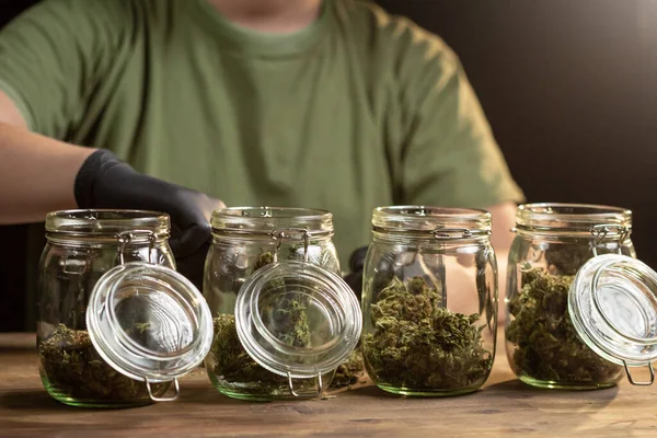 Droge getrimde cannabisbloemknoppen — Stockfoto