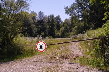 Ormanda böcek uyarısı işareti.