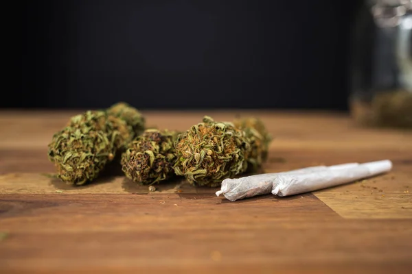Brotes de CBD y articulaciones de marihuana enrolladas —  Fotos de Stock