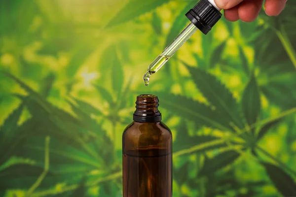Jak maximalizovat účinky CBD?