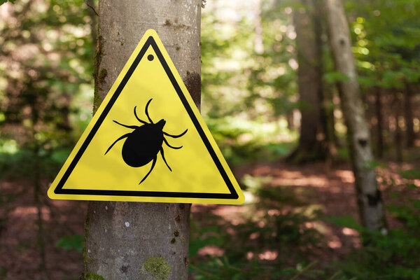 Tick insect warning sign in forest.