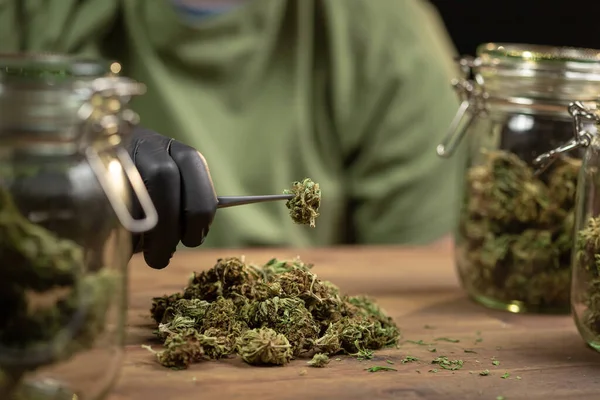 Putting trimmed cannabis buds in a jar — Stock Fotó