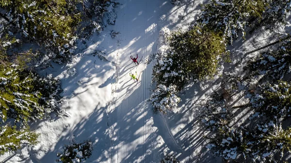 Due persone sci di fondo nella foresta invernale, vista drone — Foto Stock