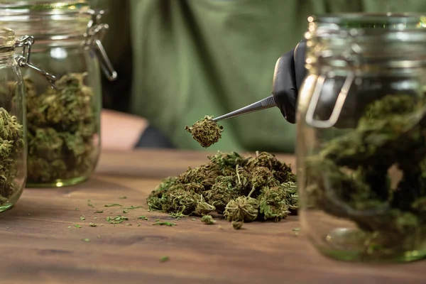 Putting trimmed cannabis buds in a jar — Stock Fotó