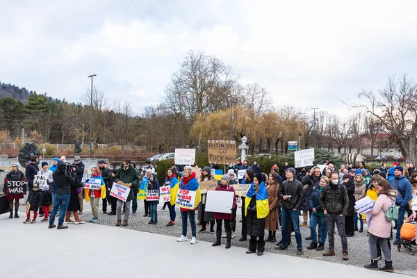 Демонстрації та протести на підтримку України — стокове фото