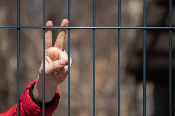 Ребенок-беженец показывает знак мира — стоковое фото