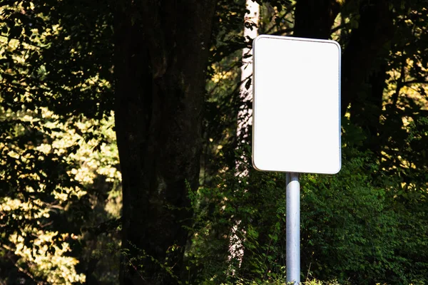 Empty sign in a forest — Foto Stock