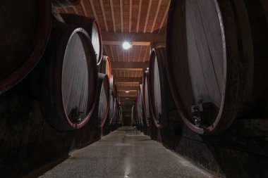 Şarap mahzeninde eski meşe fıçıları