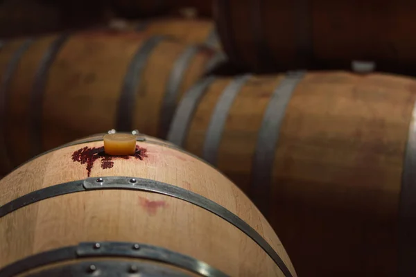 Ułożone drewniane beczki w piwnicy na wino — Zdjęcie stockowe