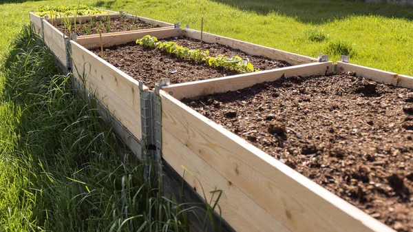 Hochstehendes Gartenbeet — Stockfoto