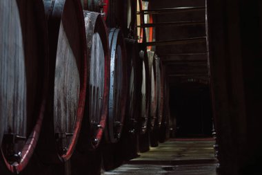 Şarap mahzeninde eski meşe fıçıları