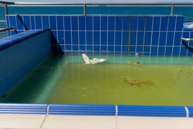 terk edilmiş Yüzme Havuzu