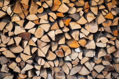 Ağaç kütükleri deposu yığını. Yakacak odun topluyorum..