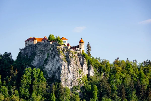 Old Castle Bled Lake Slovenia Amazing Nature Scenic Landscape — Stock Photo, Image