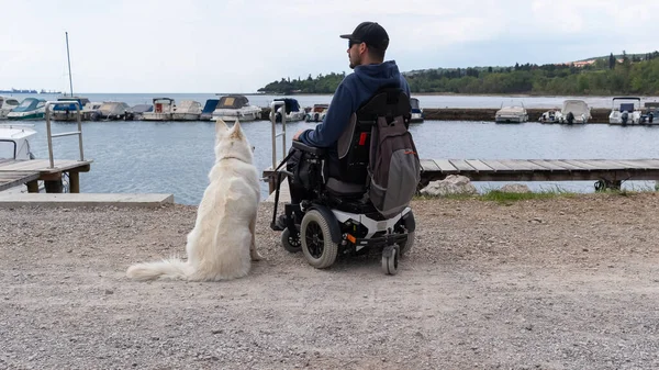 Hombre Feliz Con Discapacidad Silla Ruedas Con Perro Naturaleza — Foto de Stock