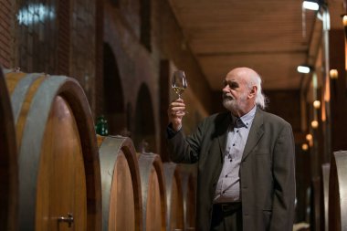 Kıdemli Kafkasyalı turist, gri sakallı zarif adam şaraphanenin yeraltı şarap mahzeninde kırmızı şarap tadıyor.