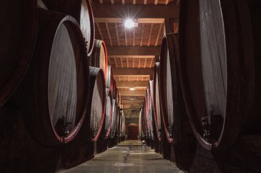 Şarap fıçıları şarap mahzeninde sıralanır. Şarap mahzeni eski gelenek ve tarihle doludur.
