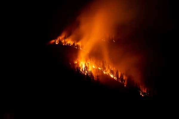 Forest wildfire at night a natural disaster