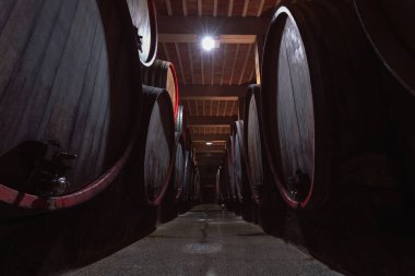 Traditional wine cellar interior with stacked old wooden barrels. Concept of touristic wine route and winemaking business.