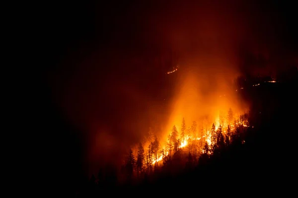 Mountain Forest Wildfire Night Burning Trees — Fotografia de Stock