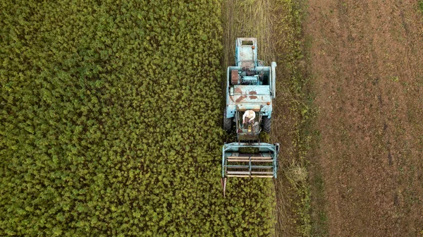공업용 대농장에서 수확을 거두고 공중에서 구경하는 — 스톡 사진