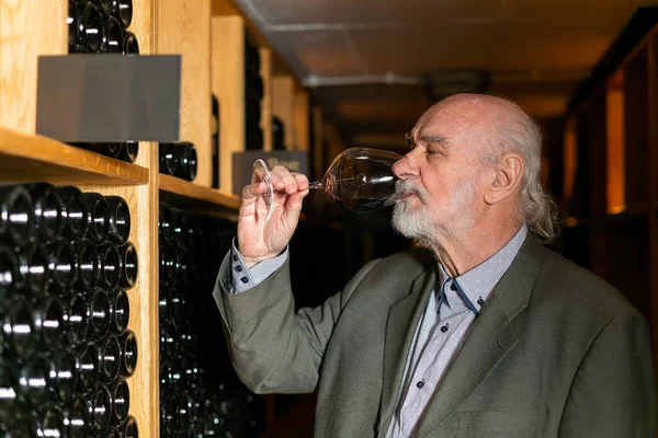 Caucasian senior man in a suit, standing in an old wine cellar with wooden barrels, expertly tasting red wine, checking a color, smell, and taste