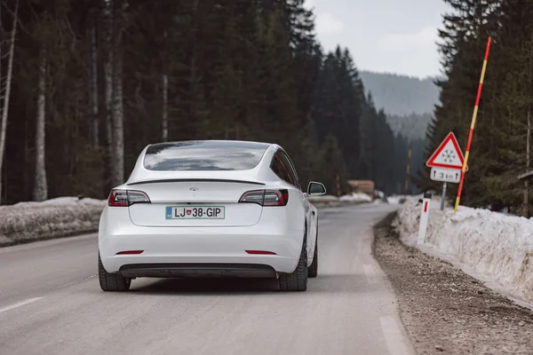 Słowenia Lublana Marca 2022 Biały Samochód Elektryczny Tesla — Zdjęcie stockowe