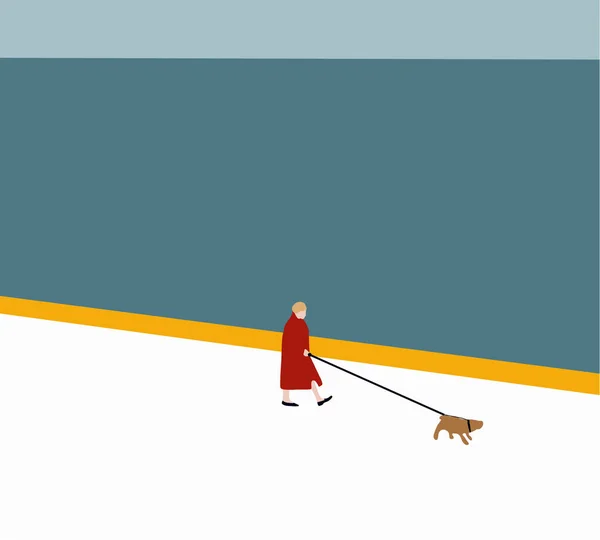 Woman Red Coat Walking Dog Park Outdoor Activity Concept Vector — Foto Stock