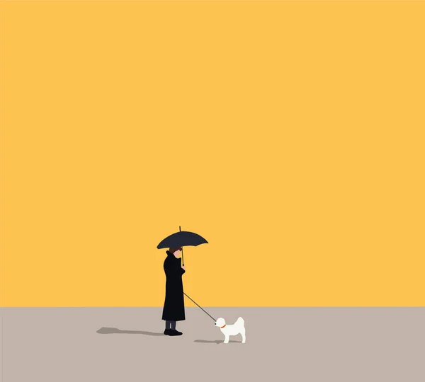 Woman Umbrella Walking Dog City Street Cold Season Outdoor Activity — Fotografia de Stock