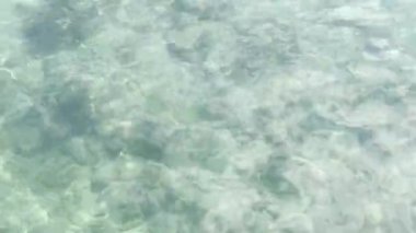 Lagün ve mercan resiflerinde deniz suyu yüzeyi. Üst manzara şeffaf turkuaz okyanus su yüzeyi. arkaplan dokusu.